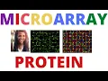 PROTEIN MICROARRAY MICROARRAY DATA ANALYSIS