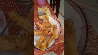                     دندنها