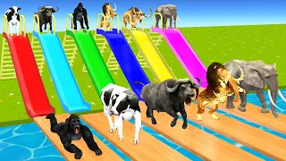 Choose Right Slider Mystery Box Challenge With Cow Tiger Elephant Mammoth Buffalo Gorilla Animals 