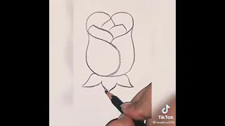 كيف ترسم الوردة  كيف ترسم الوردة