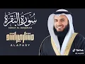Download Lagu Bagian yang ke 21 bacan merdu ekselusif misyahri alafasy romadhon 2025🌙