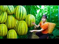Download Lagu Harvesting Ripe Purple Plums and the Best Grilled Meatloaf | Authentic Country Recipes