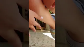 So Happy Rp Fairy Fly Powers Fairies 