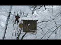 Lagu building a hut at an altitude of 48 meters in a snowy, harsh forest!
