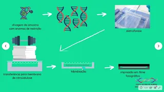 Princípio do Southern Blot - Aula de Biologia Molecular - UFCSPA