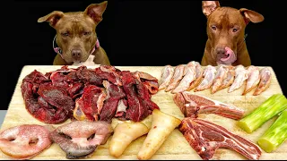 Best Dog ASMR Pitbull Eating Raw Foods
