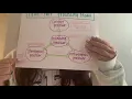 Explaining the Four Part Processing Model