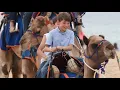 All Purpose Camel Saddle