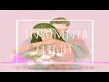 《失眠飞行》- 接个吻，开一枪/沈以试/薛明媛 Insomnia flight 8D audio
