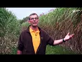 Lagu Waarom Miscanthus? De ervaring van Hof ter Vrijlegem