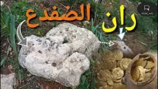 تحليل إشارة الضفدع الذي يدل على ران و المجسم التي في كافة أشكالها لا تأتي الا في هذه الأشكال 