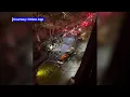 15 people hurt in fire in Sheepshead Bay Brooklyn