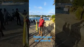 la pêche sur Javerne