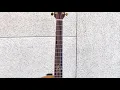 Gopher Wood Guitar- G620CE / Sound Test