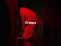 1000 Origami Cranes while dying