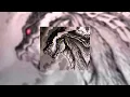 Download Lagu 𝐅𝐚𝐫𝐛𝐞𝐧 ~ 𝐎𝐫𝐚𝐧𝐠𝐞 𝐒𝐞𝐜𝐭𝐨𝐫 (Super Slowed + Reverb)