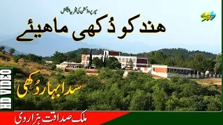 New Hindko Mahiye Malik Sadaqat Hazarvi Latest Hazara Songs 