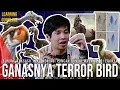 Terror Bird! Burung Terseram Puncak Rantai Makanan! Sezaman Dengan Manusia? | Learning By Googling