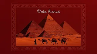 Hakim Wala Wahed Mehmetcan Yücel Remix 