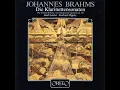 Clarinet Sonata in E-Flat Major, Op. 120 No. 2: I. Allegro amabile