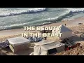 The Beauty in the Beast