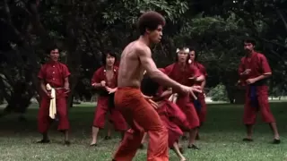 جیم کلی ادای احترام 