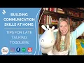 BUILDING COMMUNICATION SKILLS AT HOME Tips for Late Talking Toddlers Pre-linguistics and Gestures