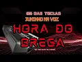 Download Lagu HORA DO BREGA___GG DAS TECLAS E JUNINHO NA VOZ