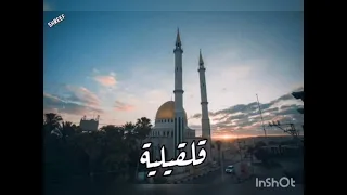 الأسماء الأصلية لمدن فلسطين أجعلها فى ذاكرتك    دندنها