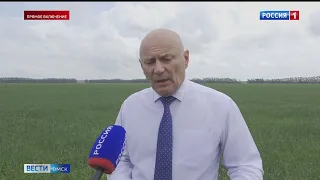 Николай Дрофа оценил состояние посевов не полях в Омском районе