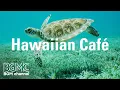 Hawaiian Cafe: Caribbean, Tropical Island Music - Music for Happy Holiday in a Beach