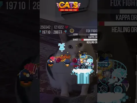 🎬🐱 Let’s Talk About This Battle! Think you know what’s going to happen? 👀 |#cats #gaming