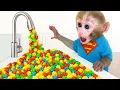 Download Lagu Monyet Bon Bon Imut makan buah-buahan dan mandi busa bersama teman bebek di peternakan