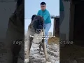 Download Lagu Top 10 most protective guard dogs
