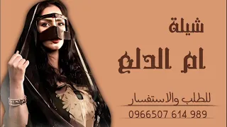 شيلة ام الدلع احمد الرجعان حصريآ 