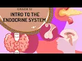 INTRO to ENDOCRINE SYSTEM UPDATED EASY to UNDERSTAND