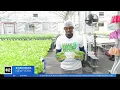 Urban farming grows in Brooklyn
