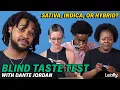 Indica vs Sativa vs Hybrid