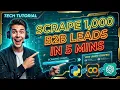 Scrape 1 000 B2B Leads in 5 Mins Colab ChatGPT