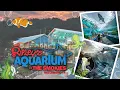 The Ultimate Guide To Ripley s Aquarium Of The Smokies In Gatlinburg TN