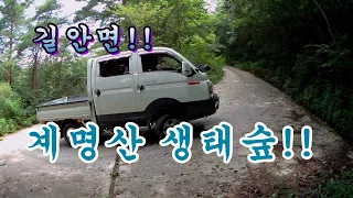 안동 길안면 계명산 // 노루가 살고있는 자연생태숲 // 임도 오프로드 !!  1부!! Keimyungsan Imdo Off Road!! Part 1!! 썸네일