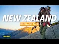 Download Lagu 2 Yards from a New Zealand Tahr