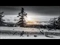 Insomnium - Karelia