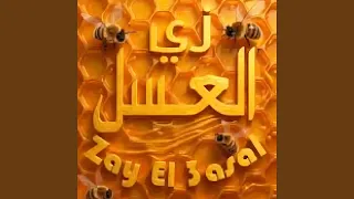              دندنها