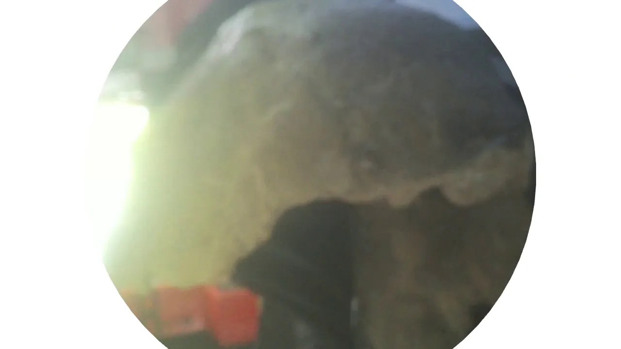 Menyambangi Museum Geologi Sebagai Museum IPTEK Bandung Sejak 1929