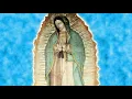 Melodia Celestial para orar descubierta en el manto de la Virgen de Guadalupe