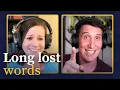 Have you ever had the mulligrubs LOST WORDS