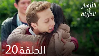 الأزهار الحزينة الحلقة 20 كاملة Kırgın Çiçekler 