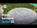 Download Lagu Pulau harta karun di Samudra Pasifik: Dari Kepulauan Chatham ke Enewetak (2/2) | DW Dokumenter