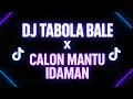 Download Lagu DJ TABOLA BALE X CALON MANTU IDAMAN | DJ SLOW VIRAL TIKTOK FULL SONG 2025 | MAMAN FVNDY REMIX